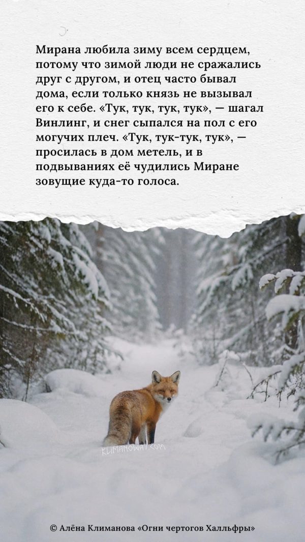 Зима в Лисьей Пади 2