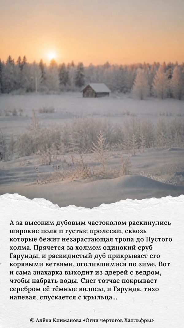 Зима в Лисьей Пади 5