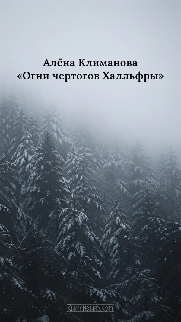 Зима в Лисьей Пади 6