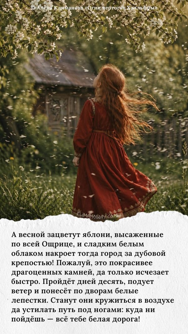Воспоминания о Лисьей Пади 3