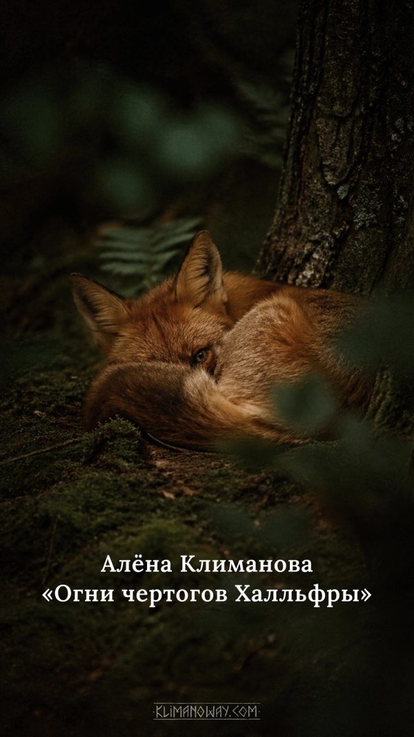 Князь и колдун 6