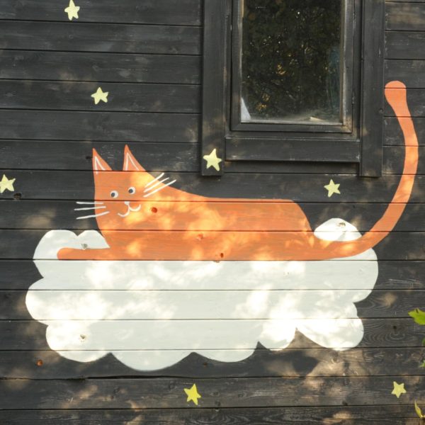 Кот на моём сарае